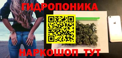 крисы Янаул