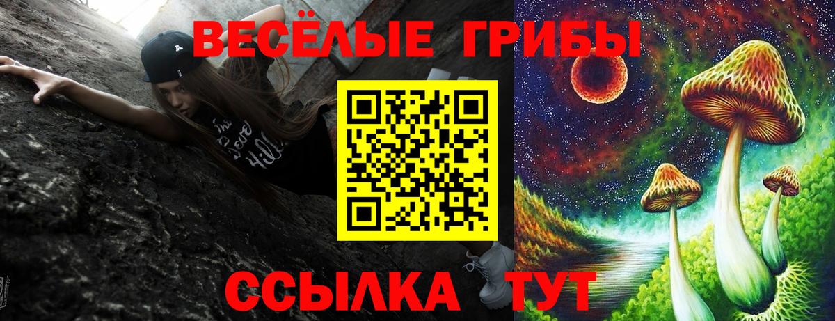 Галлюциногенные грибы Psilocybine cubensis  Вход с VPN  Галлюциногенные грибы мухоморы  Вятские Поляны 