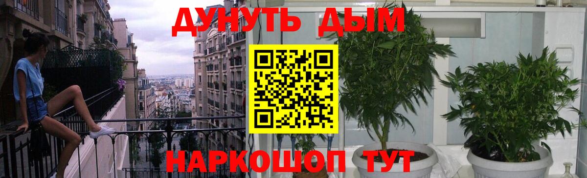 Марихуана Bruce Banner  Конопля AK-47  Вятские Поляны  Бошки Шишки Bruce Banner  Вход с VPN  Шишки марихуана Ganja 